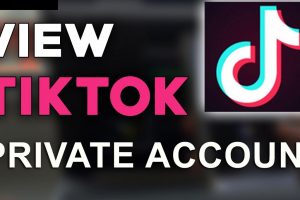 tiktok private account downloader app