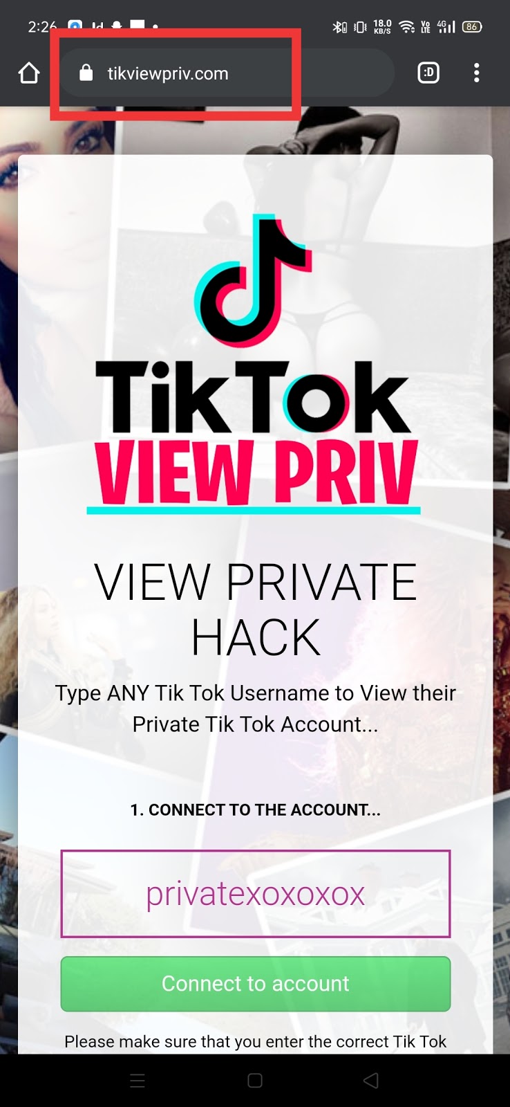 Private TikTok websites